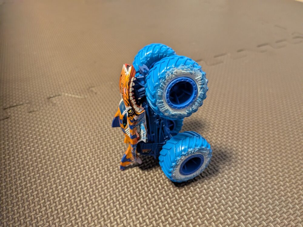 タイガーシャークが立っている写真